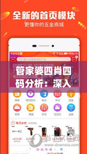 管家婆四肖四碼分析：深入解讀往年11月19日的結(jié)果_PAF9.60.90強(qiáng)化版