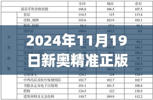2024年11月19日新奧精準(zhǔn)正版資料全面解析方案_DGC9.78.98共鳴版