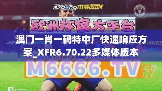 澳門一肖一碼特中廠快速響應方案_XFR6.70.22多媒體版本