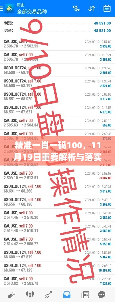 精準(zhǔn)一肖一碼100，11月19日重要解析與落實(shí)_DZX4.59.85進(jìn)口版
