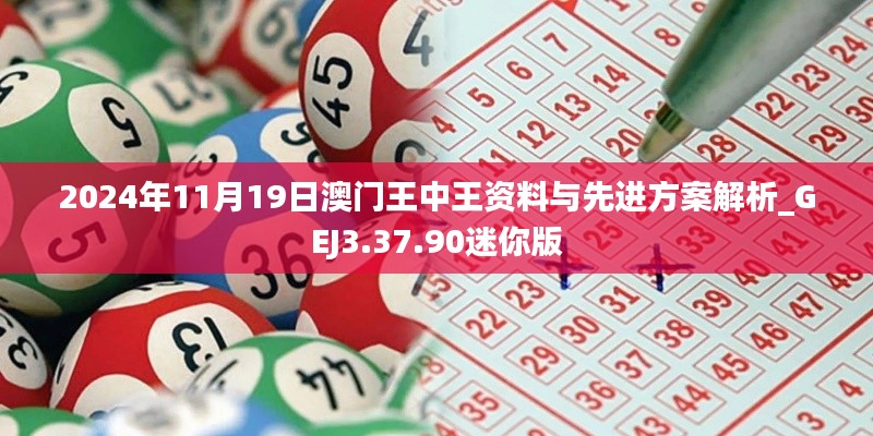 2024年11月19日澳門王中王資料與先進方案解析_GEJ3.37.90迷你版