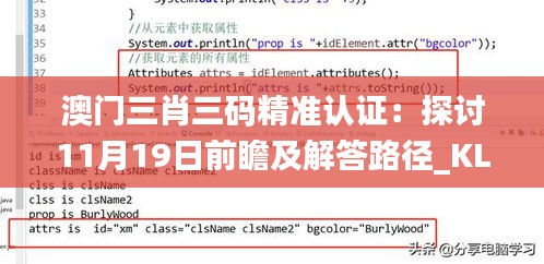 澳門三肖三碼精準認證：探討11月19日前瞻及解答路徑_KLE5.59.94智力版