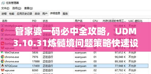 管家婆一碼必中全攻略，UDM3.10.31煉髓境問題策略快速設計
