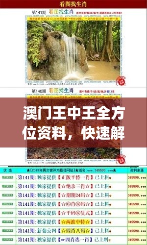 澳門王中王全方位資料，快速解答執(zhí)行計(jì)劃_HBH9.38.43珍藏版
