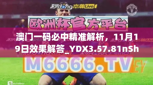 澳門一碼必中精準(zhǔn)解析，11月19日效果解答_YDX3.57.81nShop