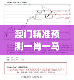 澳門(mén)精準(zhǔn)預(yù)測(cè)一肖一馬一中一特，安全方案實(shí)施_SZV2.64.86護(hù)眼版