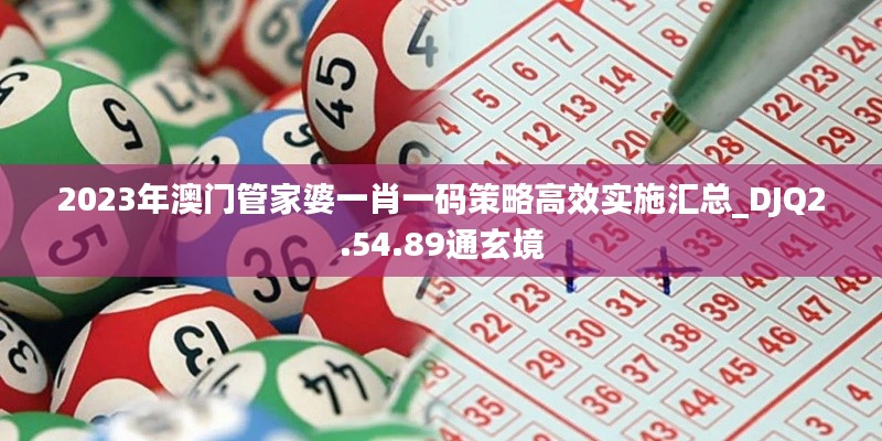 2023年澳門管家婆一肖一碼策略高效實施匯總_DJQ2.54.89通玄境