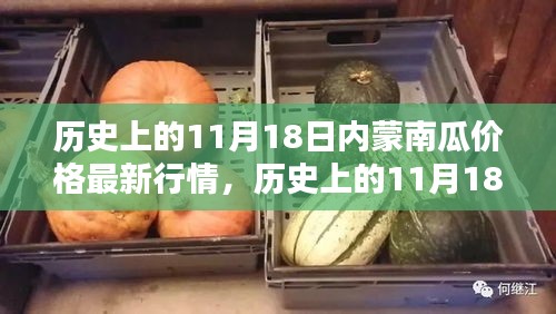 歷史上的11月18日內(nèi)蒙南瓜價(jià)格行情回顧與最新分析