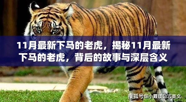 澹泊明志，寧靜致遠 第5頁