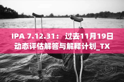 IPA 7.12.31： 過去11月19日動(dòng)態(tài)評(píng)估解答與解釋計(jì)劃_TXC8.40.23全球版