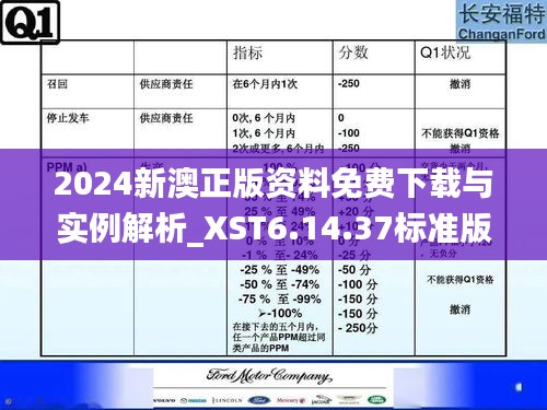 2024新澳正版資料免費下載與實例解析_XST6.14.37標準版