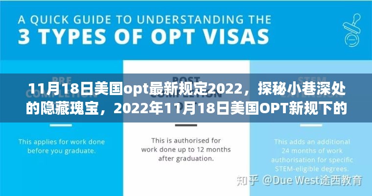 探秘小巷深處的獨特小店故事，美國OPT新規(guī)下的隱藏瑰寶之旅（2022年11月18日）