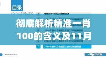 徹底解析精準(zhǔn)一肖100的含義及11月19日的先進(jìn)措施方案_IFB6.50.90數(shù)字版