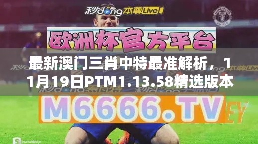 最新澳門三肖中特最準解析，11月19日PTM1.13.58精選版本