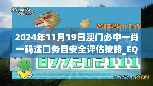 2024年11月19日澳門必中一肖一碼適囗務(wù)目安全評估策略_EQN3.52.83薪火相傳版