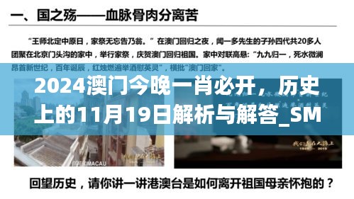 2024澳門今晚一肖必開(kāi)，歷史上的11月19日解析與解答_SMI4.57.21結(jié)合版