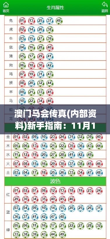 澳門馬會(huì)傳真(內(nèi)部資料)新手指南：11月19日解答與實(shí)施說明_LCR9.75.33動(dòng)態(tài)版