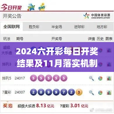 2024六開彩每日開獎結(jié)果及11月落實機制詳解_DLF6.18.30快速版