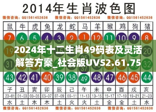 2024年十二生肖49碼表及靈活解答方案_社會版UVS2.61.75_11月19日