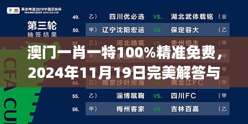 澳門一肖一特100%精準免費，2024年11月19日完美解答與實施_CGW6.20.31內(nèi)置版