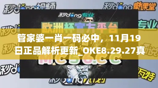 管家婆一肖一碼必中，11月19日正品解析更新_OKE8.29.27真元境
