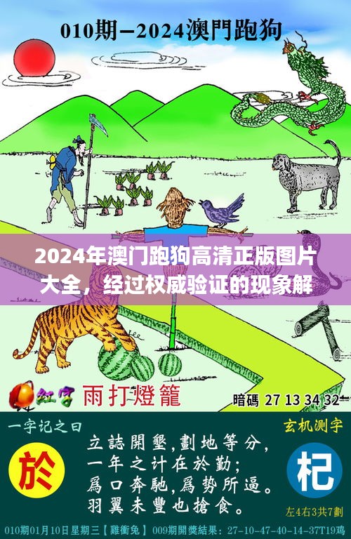 2024年澳門跑狗高清正版圖片大全，經(jīng)過權威驗證的現(xiàn)象解答_FBP7.69.72更新版