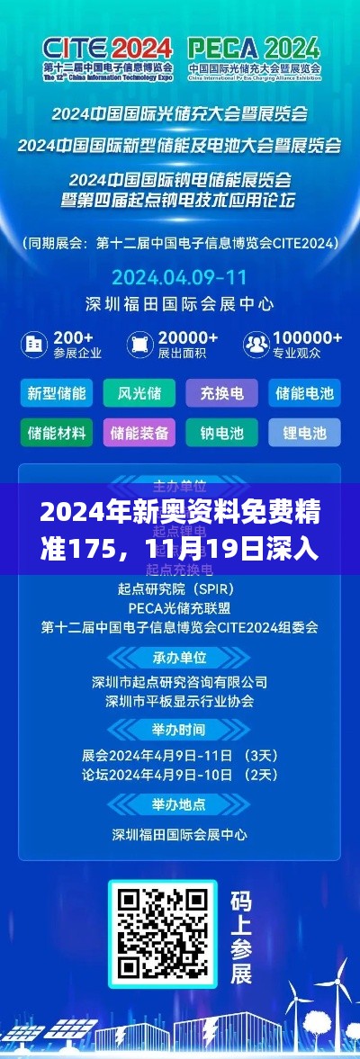2024年新奧資料免費(fèi)精準(zhǔn)175，11月19日深入解析與解決方案_FDR5.56.29精致生活版