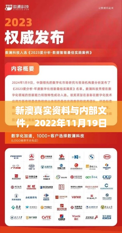 新澳真實(shí)資料與內(nèi)部文件，2022年11月19日智解策略實(shí)施_ACW7.34.71混亂環(huán)境