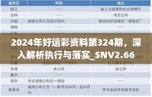 2024年好運彩資料第324期，深入解析執(zhí)行與落實_SNV2.66.65旗艦版