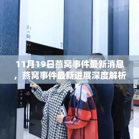 11月19日燕窩事件最新消息，燕窩事件最新進(jìn)展深度解析，產(chǎn)品特性、使用體驗(yàn)與競品對比全面剖析