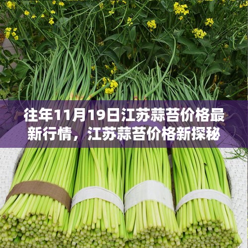 往年11月19日江蘇蒜苔價格最新行情，江蘇蒜苔價格新探秘，小巷深處的特色小店與獨特行情