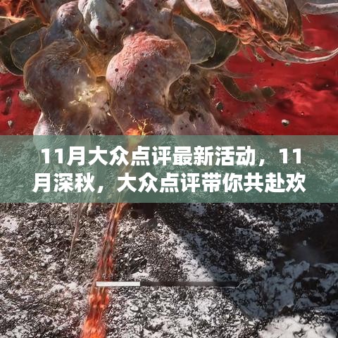 11月大眾點評最新活動，11月深秋，大眾點評帶你共赴歡樂盛宴，友情與優(yōu)惠同行！