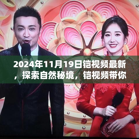2024年11月19日鎧視頻最新，探索自然秘境，鎧視頻帶你領略2024年11月19日的自然之美
