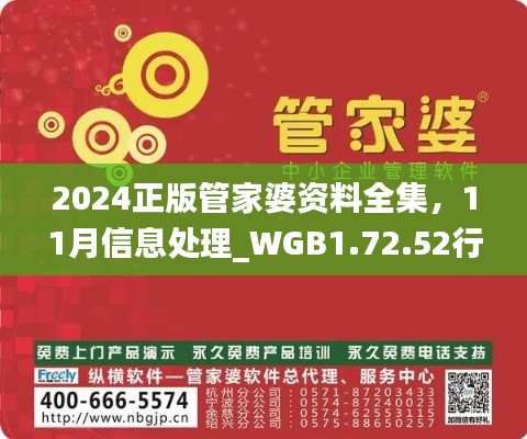 2024正版管家婆資料全集，11月信息處理_WGB1.72.52行業(yè)版