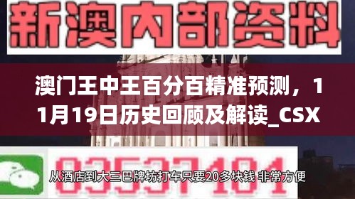 澳門王中王百分百精準(zhǔn)預(yù)測，11月19日歷史回顧及解讀_CSX3.42.83風(fēng)味版