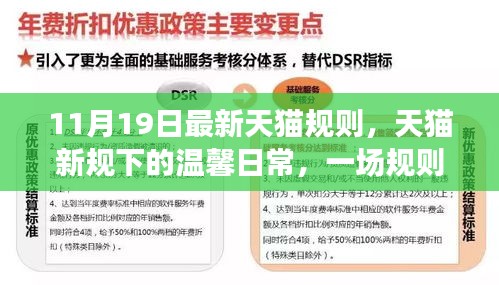 天貓新規(guī)下的溫馨日常與友情奇遇記