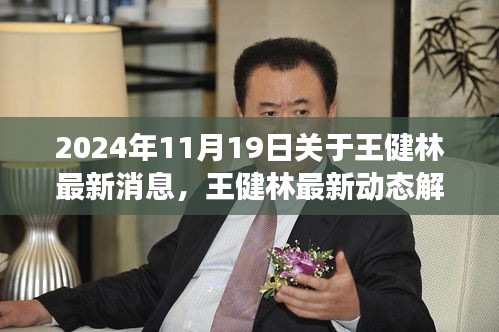 王健林最新動態(tài)解讀，步驟指南獲取與分析步驟資訊（2024年11月19日）
