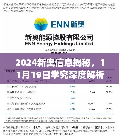 2024新奧信息揭秘，11月19日學(xué)究深度解析_RKX2.54.66抓拍版