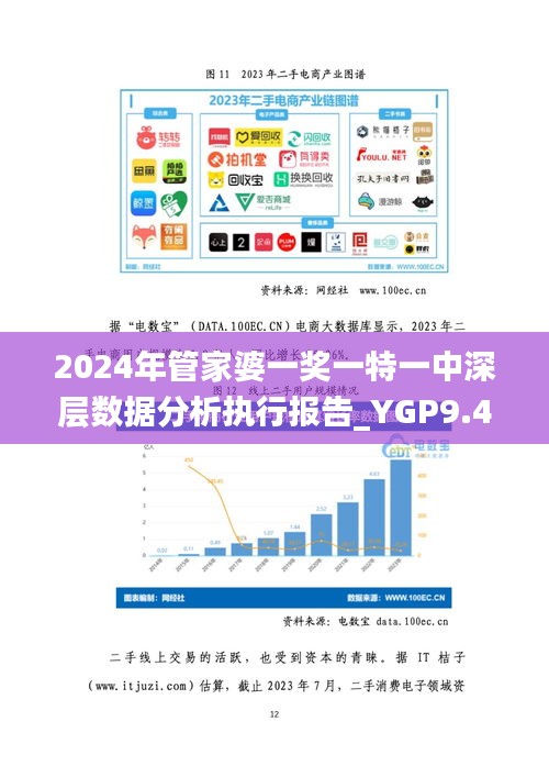 2024年管家婆一獎(jiǎng)一特一中深層數(shù)據(jù)分析執(zhí)行報(bào)告_YGP9.47.58版（2024年11月19日）