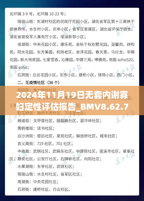 2024年11月19日無(wú)套內(nèi)謝寡婦定性評(píng)估報(bào)告_BMV8.62.79萬(wàn)能版