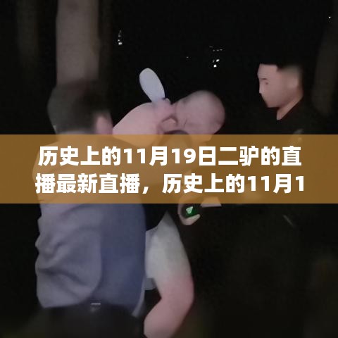 歷史上的11月19日二驢直播回顧，深度解析網(wǎng)絡(luò)文化現(xiàn)象