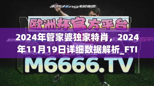2024年管家婆獨(dú)家特肖，2024年11月19日詳細(xì)數(shù)據(jù)解析_FTI5.27.82零售版