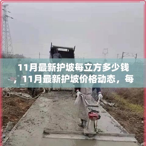 11月最新護(hù)坡每立方多少錢，11月最新護(hù)坡價(jià)格動態(tài)，每立方多少錢？