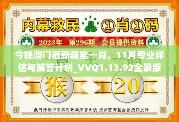 今晚澳門(mén)最新精準(zhǔn)一肖，11月專業(yè)評(píng)估與解答計(jì)劃_VVQ1.13.92全景版