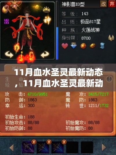 最新動態(tài)解析，11月血水圣靈的全面評測與介紹