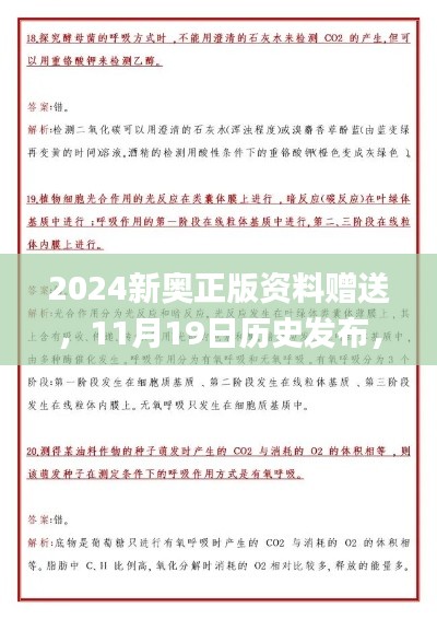 2024新奧正版資料贈送，11月19日歷史發(fā)布，解決實(shí)施解答解析_HBM9.36.91計(jì)算版