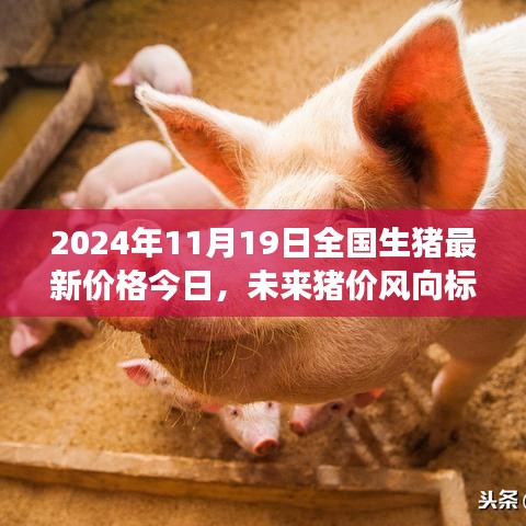 智能預(yù)測(cè)系統(tǒng)引領(lǐng)未來(lái)，全國(guó)生豬最新價(jià)格趨勢(shì)分析（2024年11月19日）