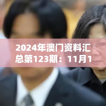 2024年澳門資料匯總第123期：11月19日LRM2.31.46本命境深度解析