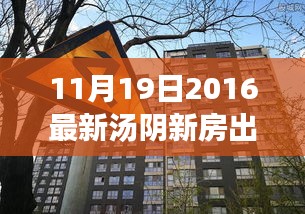 湯陰新房市場嶄新篇章，2016年11月19日的新房出售繁榮與影響