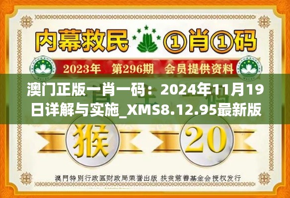 澳門正版一肖一碼：2024年11月19日詳解與實施_XMS8.12.95最新版
